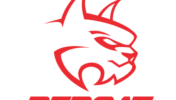 RedCat RC Car Controller